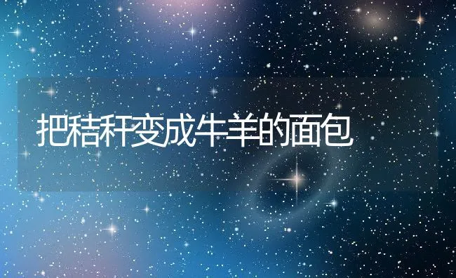 把秸秆变成牛羊的面包 | 动物养殖学堂