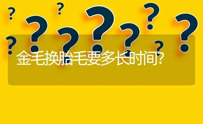 金毛换胎毛要多长时间？ | 动物养殖问答