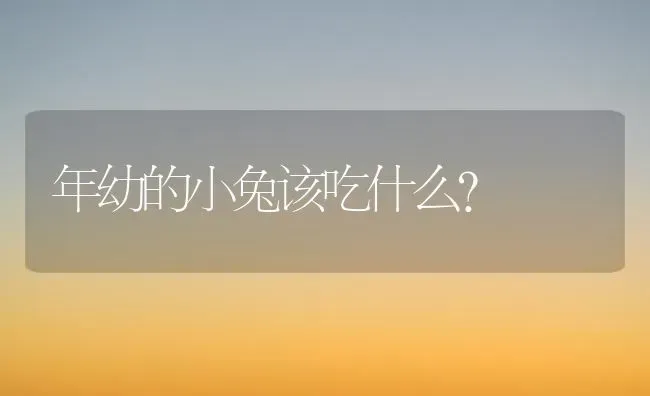 年幼的小兔该吃什么？ | 动物养殖问答