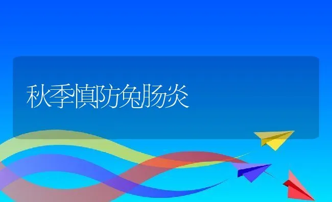 秋季慎防兔肠炎 | 动物养殖学堂