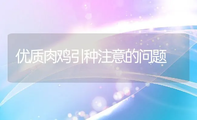 优质肉鸡引种注意的问题 | 动物养殖学堂
