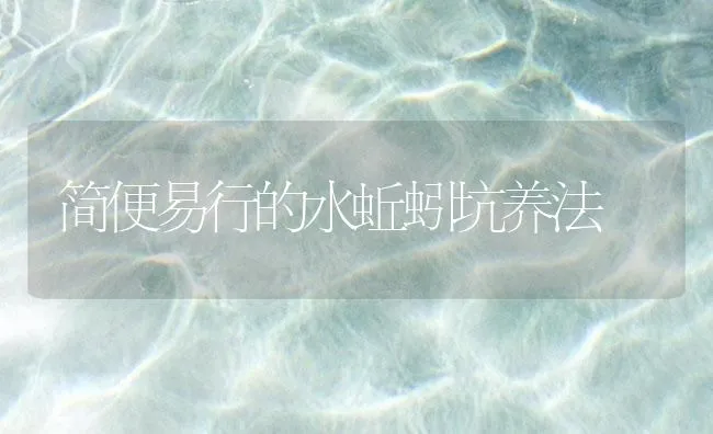 简便易行的水蚯蚓坑养法 | 海水养殖技术