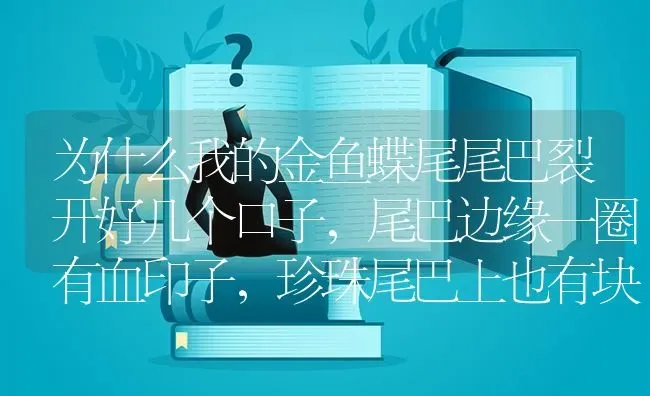 为什么我的金鱼蝶尾尾巴裂开好几个口子，尾巴边缘一圈有血印子，珍珠尾巴上也有块血印子，但没裂开？ | 鱼类宠物饲养