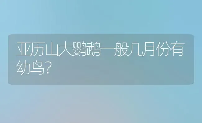 亚历山大鹦鹉一般几月份有幼鸟？ | 动物养殖问答