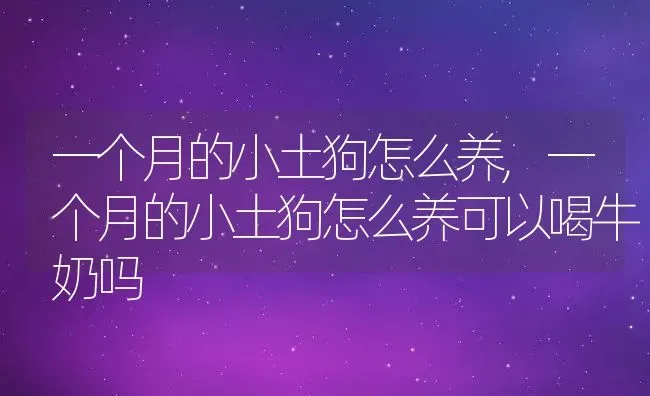 一个月的小土狗怎么养,一个月的小土狗怎么养可以喝牛奶吗 | 宠物百科知识