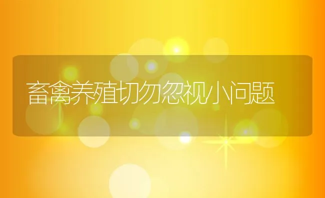 畜禽养殖切勿忽视小问题 | 动物养殖学堂