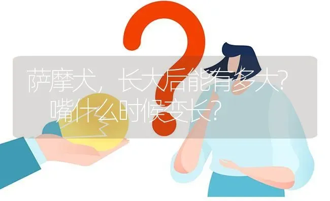 萨摩犬，长大后能有多大? 嘴什么时候变长？ | 动物养殖问答