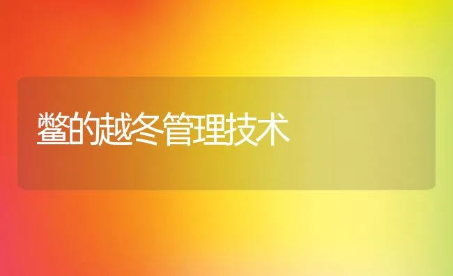 鳖的越冬管理技术 | 动物养殖饲料