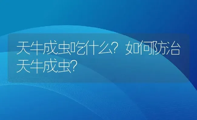 天牛成虫吃什么？如何防治天牛成虫？ | 动物养殖百科