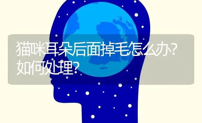 猫咪耳朵后面掉毛怎么办？如何处理？ | 动物养殖问答