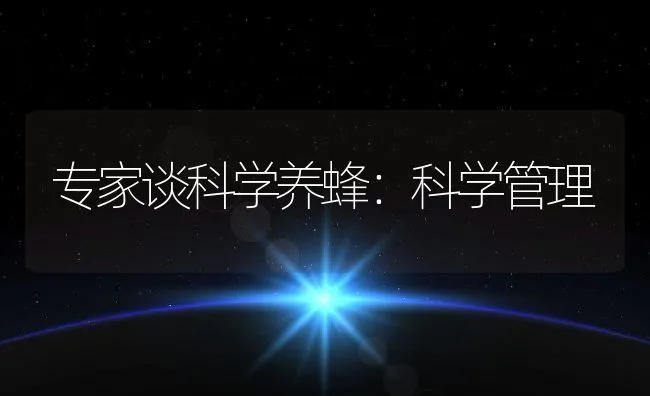 专家谈科学养蜂：科学管理 | 动物养殖学堂