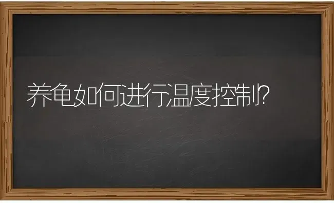 养龟如何进行温度控制？ | 动物养殖问答