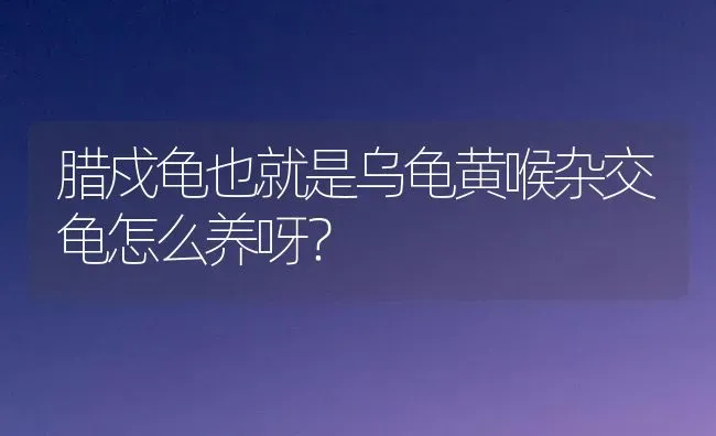 黄喉龟从2-3cm开始养还是4-5cm开始养好？ | 动物养殖问答