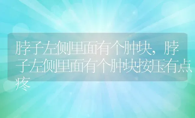 脖子左侧里面有个肿块,脖子左侧里面有个肿块按压有点疼 | 宠物百科知识