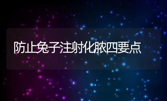 防止兔子注射化脓四要点 | 水产养殖知识