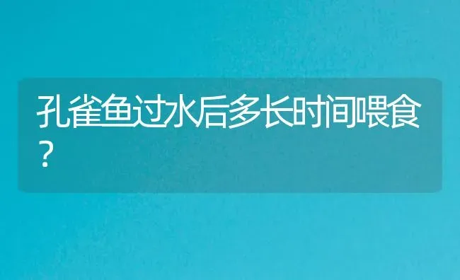 孔雀鱼过水后多长时间喂食？ | 鱼类宠物饲养