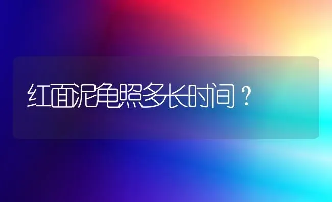 红面泥龟照多长时间？ | 动物养殖问答