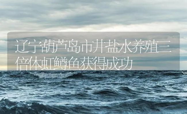 辽宁葫芦岛市井盐水养殖三倍体虹鳟鱼获得成功 | 海水养殖技术