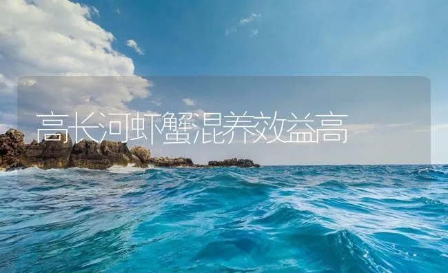 高长河虾蟹混养效益高 | 海水养殖技术