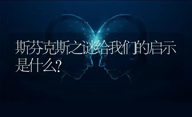 斯芬克斯之谜给我们的启示是什么？ | 动物养殖问答