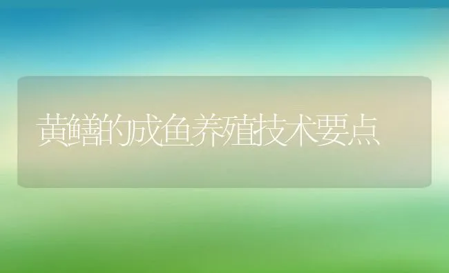 黄鳝的成鱼养殖技术要点 | 水产养殖知识