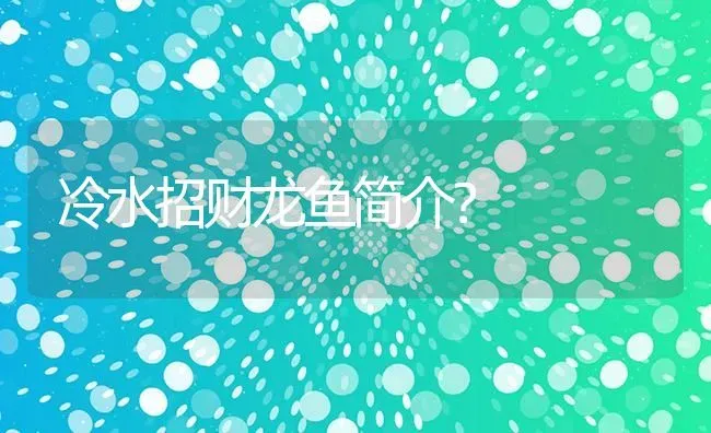 冷水招财龙鱼简介？ | 鱼类宠物饲养