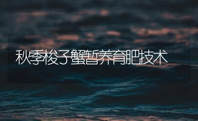 秋季梭子蟹暂养育肥技术 | 海水养殖技术