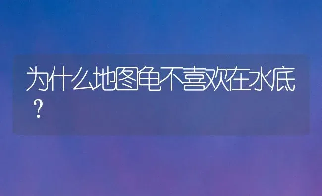 为什么地图龟不喜欢在水底？ | 动物养殖问答
