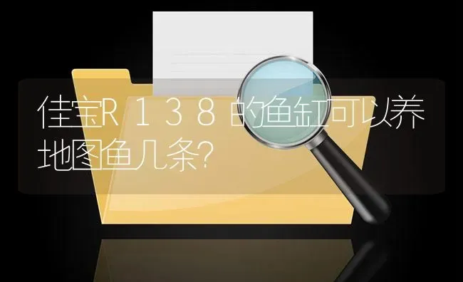 佳宝R138的鱼缸可以养地图鱼几条？ | 鱼类宠物饲养