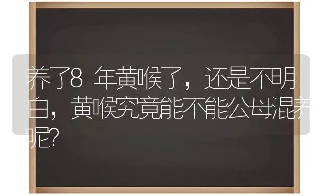 养了8年黄喉了，还是不明白，黄喉究竟能不能公母混养呢？ | 动物养殖问答