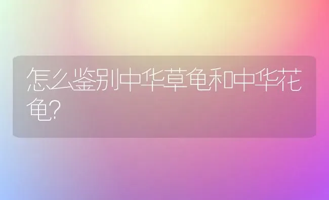 怎么鉴别中华草龟和中华花龟？ | 动物养殖问答