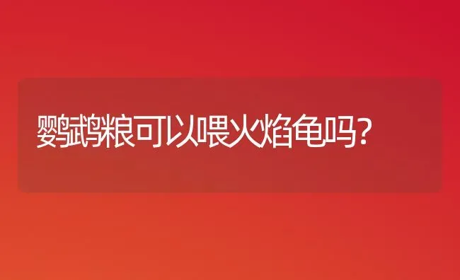 鹦鹉粮可以喂火焰龟吗？ | 动物养殖问答