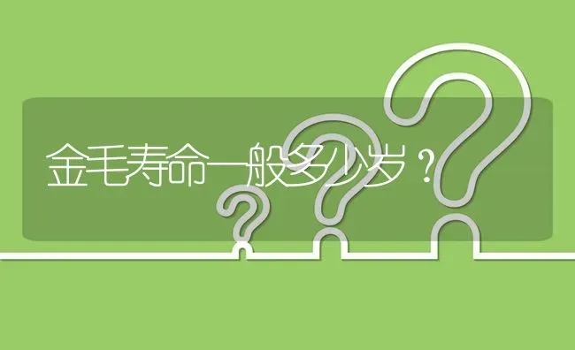 金毛寿命一般多少岁？ | 动物养殖问答