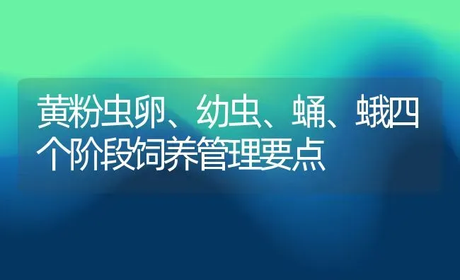 黄粉虫卵、幼虫、蛹、蛾四个阶段饲养管理要点 | 动物养殖百科