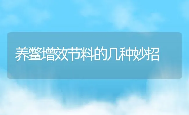 养鳖增效节料的几种妙招 | 水产养殖知识