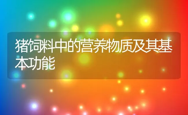 猪饲料中的营养物质及其基本功能 | 动物养殖饲料