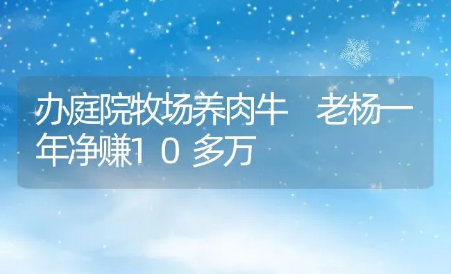 办庭院牧场养肉牛 老杨一年净赚10多万 | 动物养殖教程