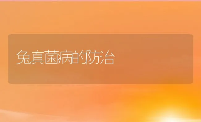 兔真菌病的防治 | 水产养殖知识