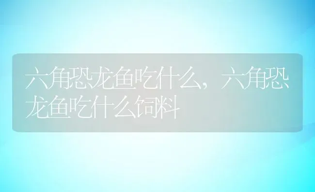 六角恐龙鱼吃什么,六角恐龙鱼吃什么饲料 | 宠物百科知识