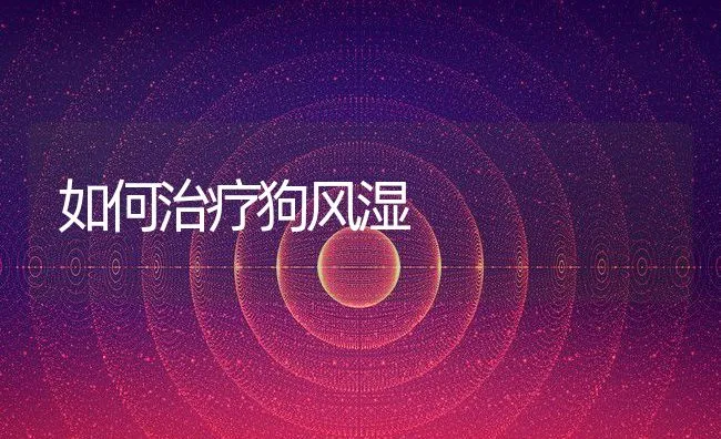 如何治疗狗风湿 | 动物养殖学堂