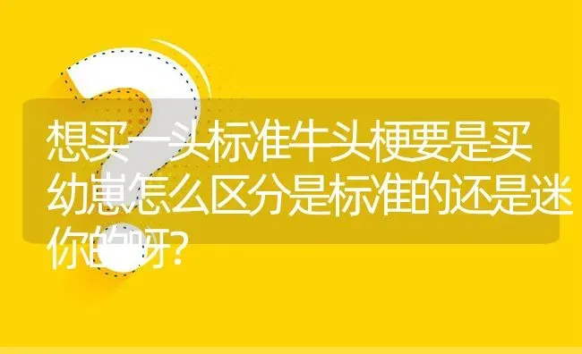 想买一头标准牛头梗要是买幼崽怎么区分是标准的还是迷你的呀？ | 动物养殖问答