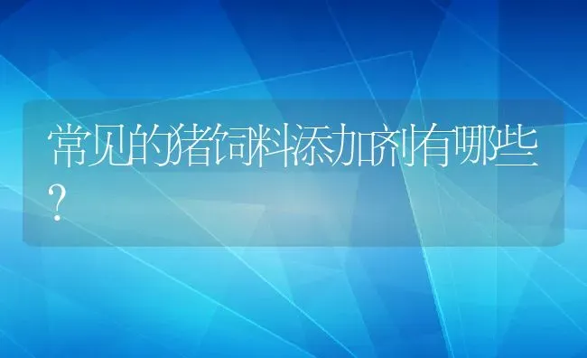 常见的猪饲料添加剂有哪些？ | 动物养殖百科