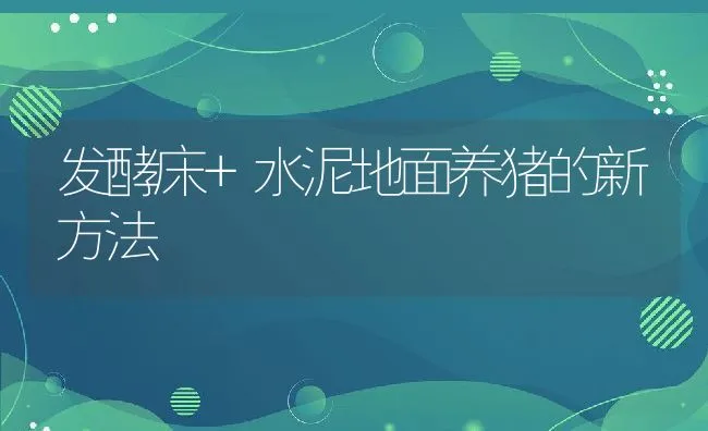 发酵床+水泥地面养猪的新方法 | 动物养殖饲料