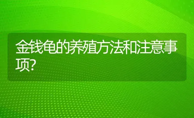 金钱龟的养殖方法和注意事项？ | 动物养殖问答