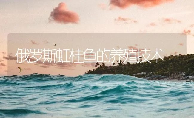 俄罗斯虹桂鱼的养殖技术 | 海水养殖技术