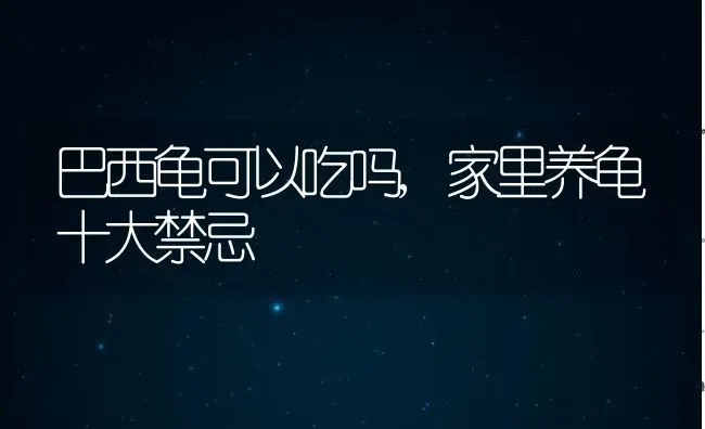 巴西龟可以吃吗,家里养龟十大禁忌 | 宠物百科知识