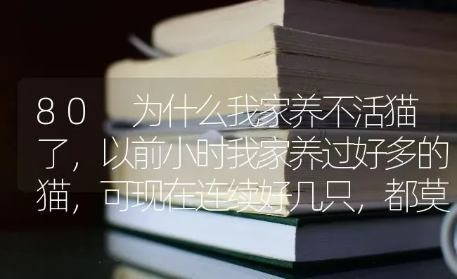 80 为什么我家养不活猫了，以前小时我家养过好多的猫，可现在连续好几只，都莫明奇妙的死了？ | 动物养殖问答