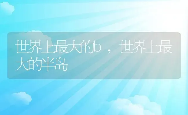 狼青幼犬200元,狼青幼犬200元出售在哪 | 宠物百科知识