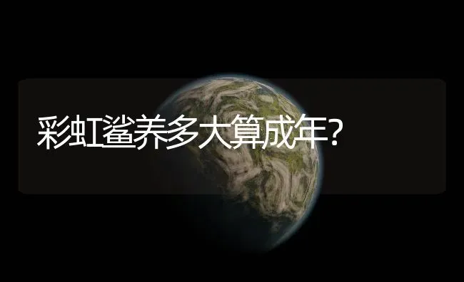 彩虹鲨养多大算成年？ | 鱼类宠物饲养