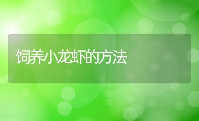 春季有效繁殖杂交鲤鱼技术 | 海水养殖技术